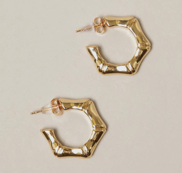 Hexagon Gold Dipped Hoop Earrings